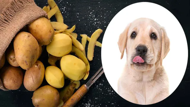 Can Dogs Eat Undercooked Potatoes
