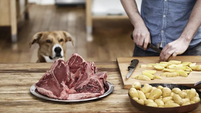 Can Dogs Eat Undercooked Steak