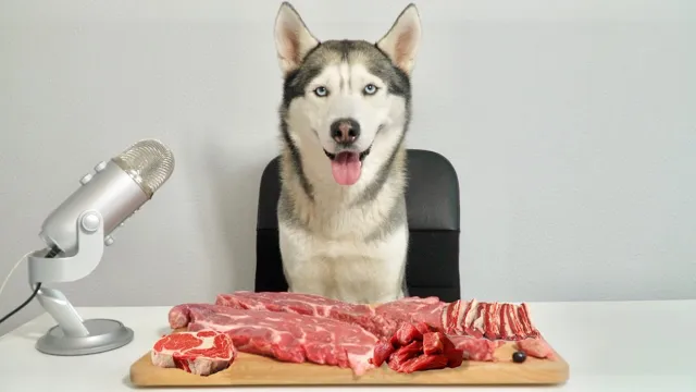 Can Dogs Eat Undercooked Steak