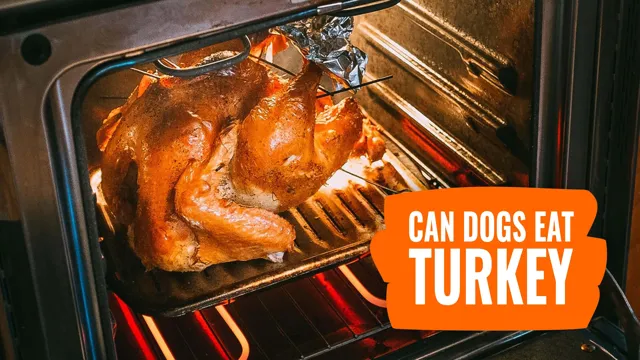 Can Dogs Eat Undercooked Turkey