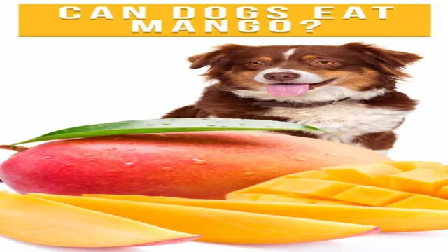 Can Dogs Eat Unripe Mango