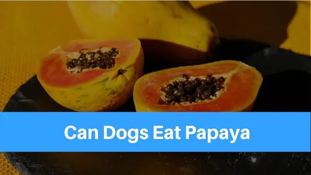 Can Dogs Eat Unripe Papaya