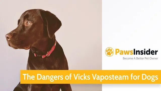 Can Dogs Eat Vicks