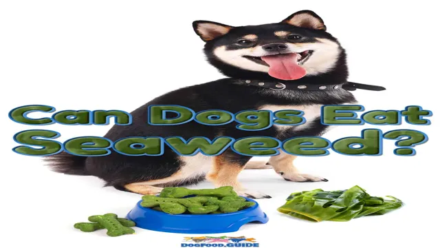 Can Dogs Eat Wasabi Seaweed