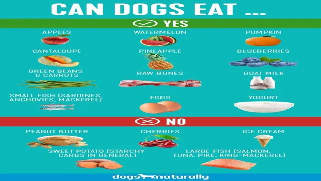 Can Dogs Eat What Humans Eat