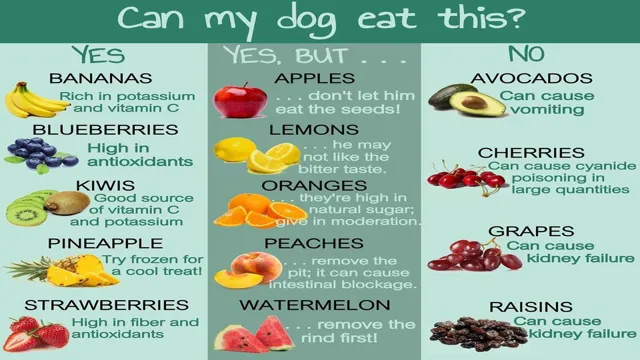 Can Dogs Eat What I Eat