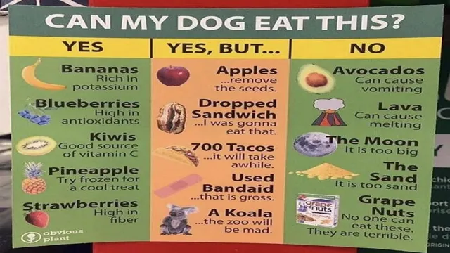 Can Dogs Eat What We Eat