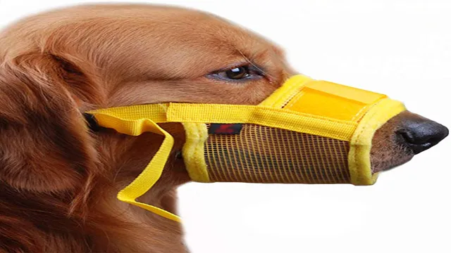 Can Dogs Eat With A Muzzle On