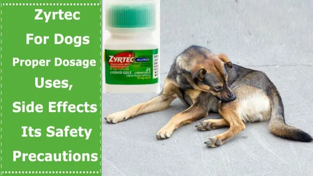 Can Dogs Eat Zyrtec