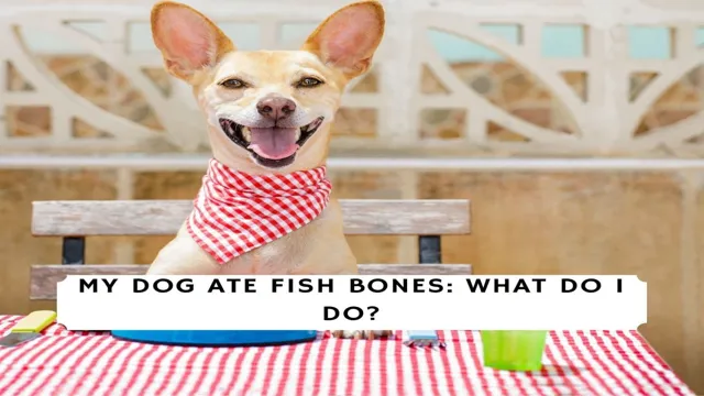 How Can Dogs Eat Fish Bones