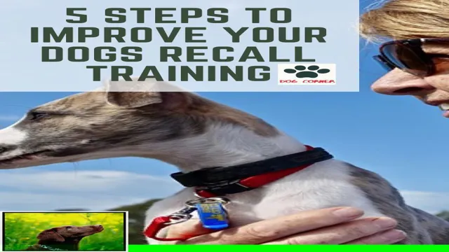 How To Teach Your Dog A Strong Recall