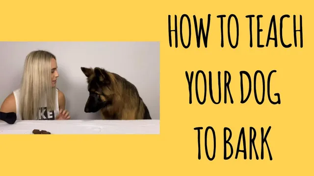 How To Teach Your Dog Bark