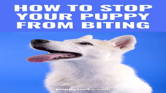 How To Teach Your Dog Dpt