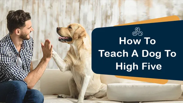 How To Teach Your Dog High Five