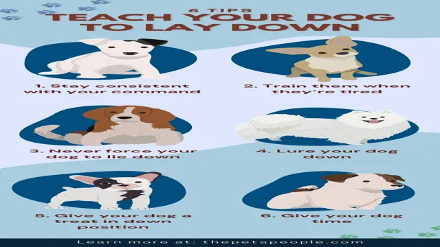 How To Teach Your Dog How To Lay Down