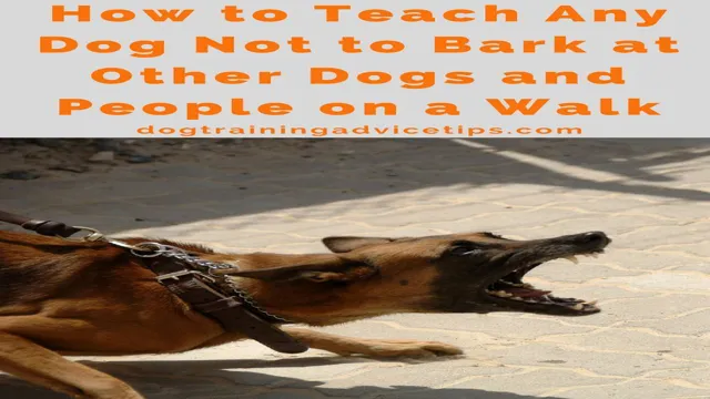 How To Teach Your Dog Not To Bark At Other Dogs