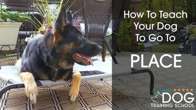 How To Teach Your Dog Place