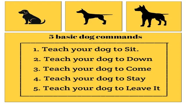 How To Teach Your Dog Release Command