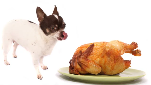 What Can Dogs Eat With Chicken