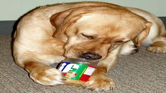 When Can Dogs Eat Peanut Butter