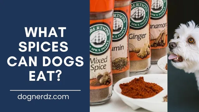 Which Spices Can Dogs Eat