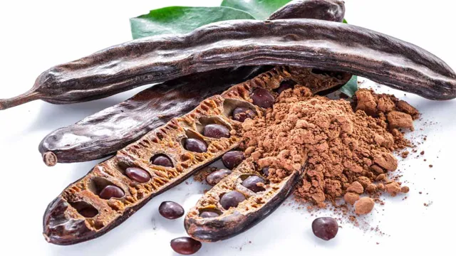 Why Can Dogs Eat Carob