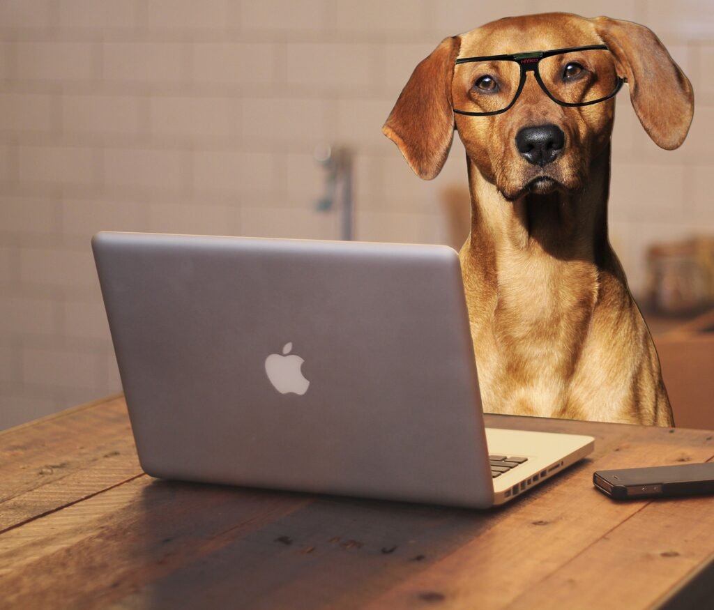 Write-For-Us-Dog